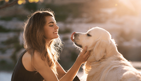 Vakantiehuis thema Luxe weekendje weg met hond